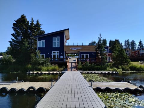 Fireweed Cabin - Homer Seaplane Base House in Homer