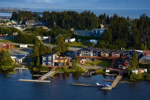 Fireweed Cabin - Homer Seaplane Base House in Homer