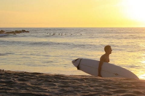 Natural landscape, Beach, Sea view, Sunset