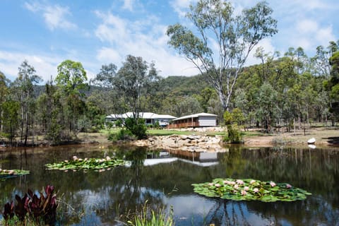 Natural landscape, Lake view, Mountain view