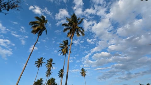 Villa Adelina Zanzibar Nature lodge in Unguja North Region