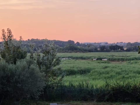 Natural landscape, Sunset