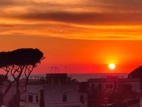 Sea view, Sunset