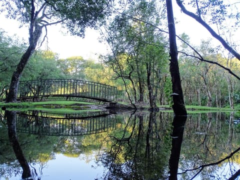 Natural landscape, Garden, Lake view