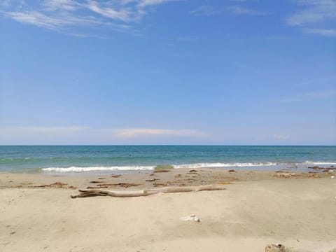 Nearby landmark, Natural landscape, Beach, Sea view