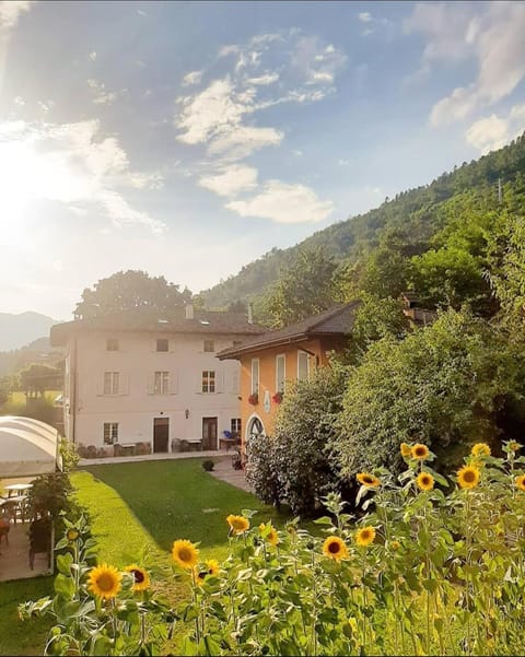 Agritur Cantina Romanese Farm Stay in Levico Terme