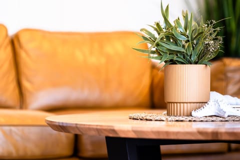 Living room, Decorative detail, Seating area