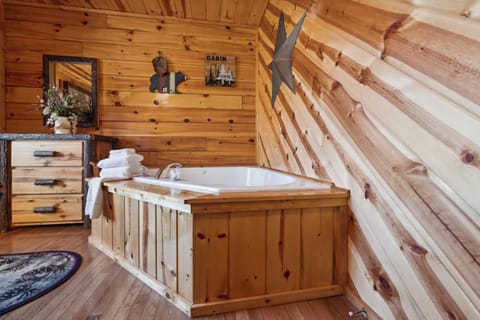 Wildberry Retreat cabin House in Sevierville