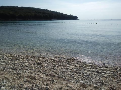 Nora, a big terrace by the sea Apartment in Banjole