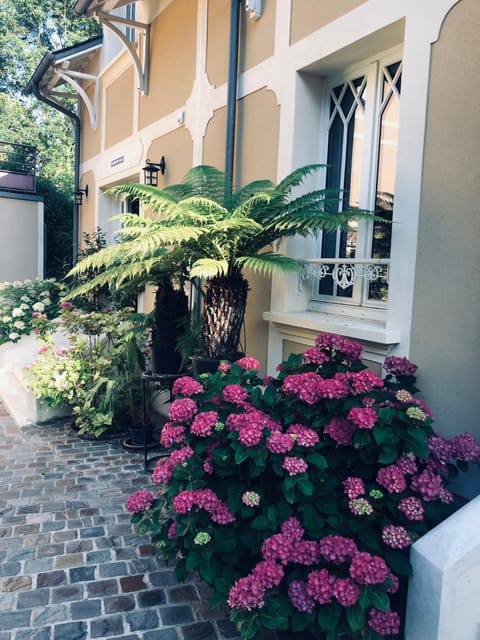 Inner courtyard view