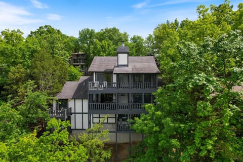 The Swiss House On The Lake And Boat Slip House in Lake of the Ozarks