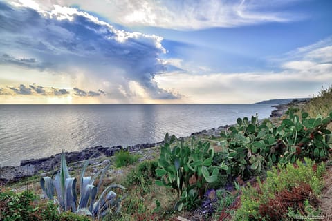 Nearby landmark, Natural landscape, Sea view