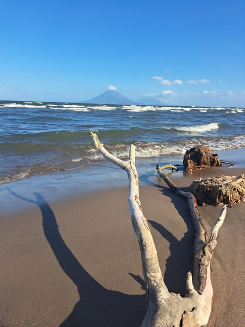 Nearby landmark, Beach