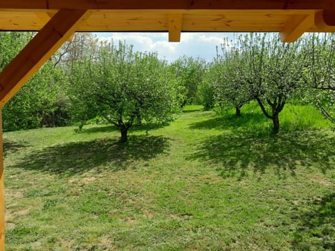 Spring, Day, Natural landscape, Garden, Garden view