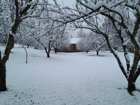 Natural landscape, Winter