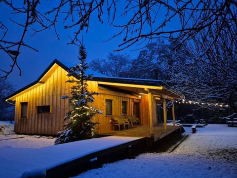 Property building, Night, Winter