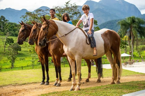 Horse-riding, Animals