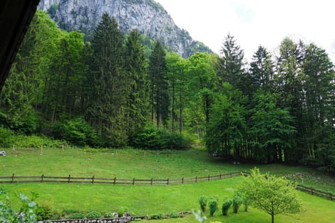 Gästehaus Fellner Bed and Breakfast in Aschau im Chiemgau