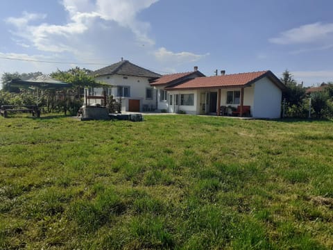 Spring, Day, Garden view