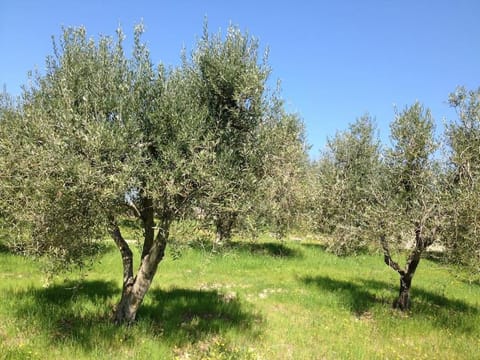 Il Melo Apartment in Castellina in Chianti