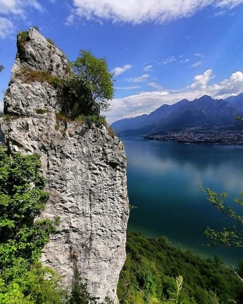 Nearby landmark, Lake view