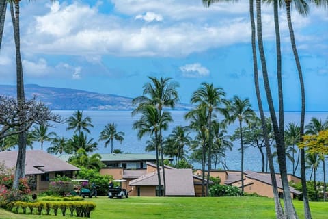 Wailea Ekahi One Bedrooms - Garden View by Coldwell Banker Island Vacations Condo in Wailea