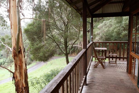 Tall Trees Eco Retreat House in Apollo Bay