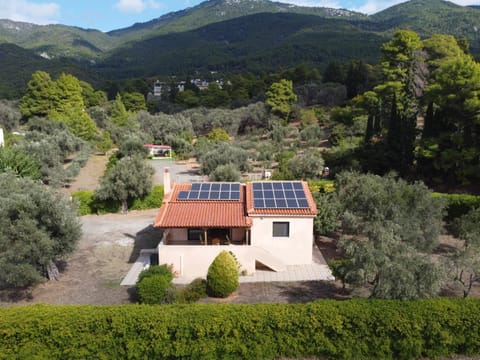 Green House - Εξοχική κατοικία με μεγάλο κήπο House in Euboea