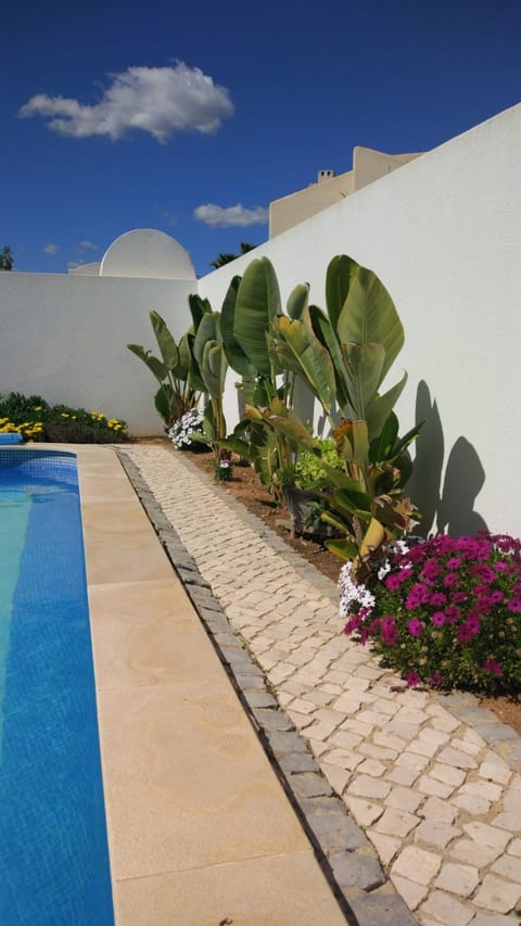 Day, Garden, Garden view, Pool view, Swimming pool