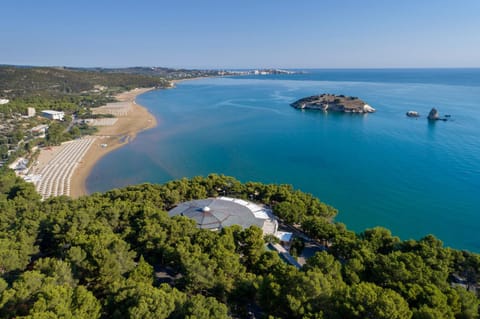 Natural landscape, Bird's eye view, Beach, Sea view