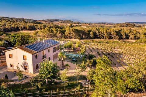 Natural landscape, Bird's eye view, Garden view, Mountain view