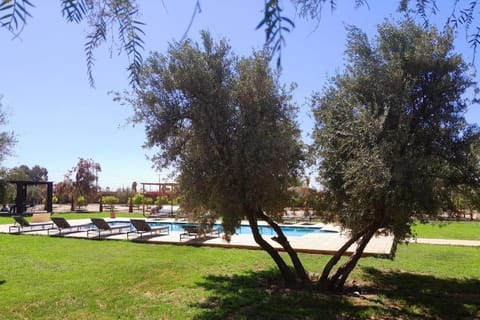 Spring, Garden, Pool view, sunbed