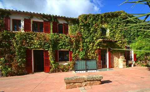 Property building, Garden, Garden view