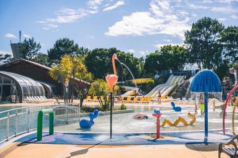 Aqua park, Swimming pool