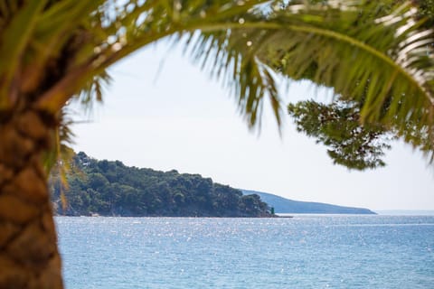 Natural landscape, Sea view