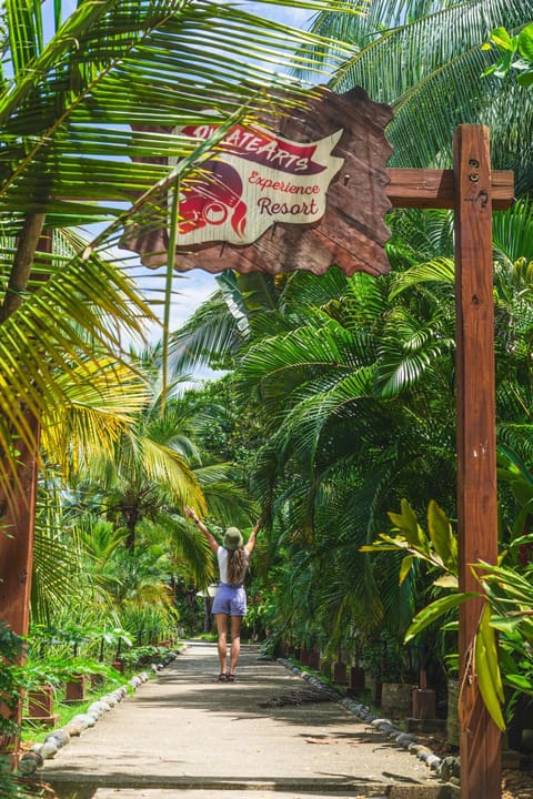 PirateArts Experience Resort Copropriété in Bocas del Toro Province