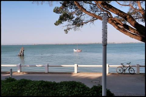 Beach, Sea view