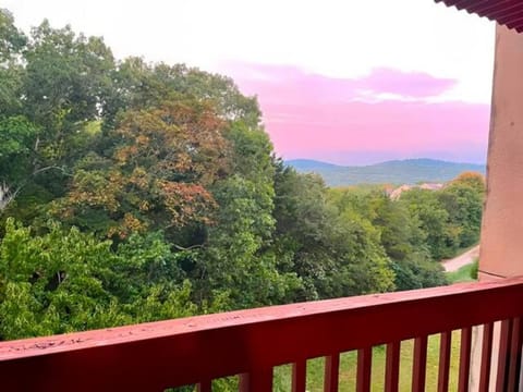 Lakeside Condo with Outdoor Theater, 4min to Silver Dollar City Apartment in Indian Point