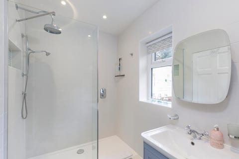 Hove garden flat, pet friendly Apartment in Hove