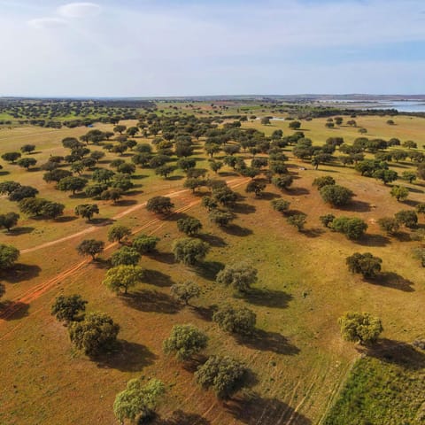 Natural landscape, Bird's eye view