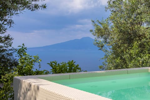 Sorrento Villa with Pool and Amazing Views Villa in Priora