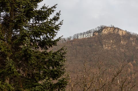 Nearby landmark, Natural landscape