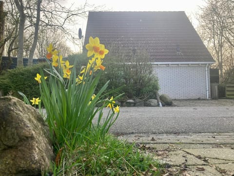 Quiet street view