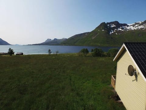 Charming house by the sea, Lofoten! House in Lofoten