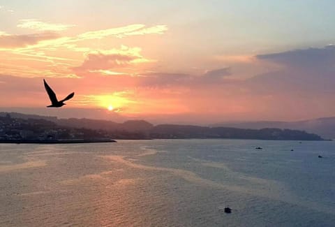 Natural landscape, Sea view, Sunset