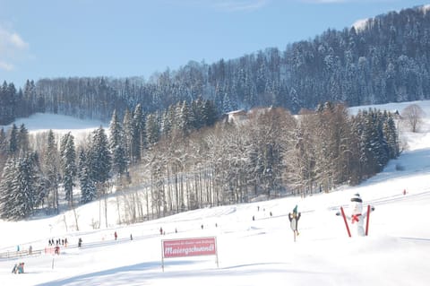 Ski School, Skiing