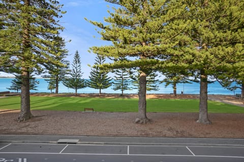 Natural landscape, Sea view