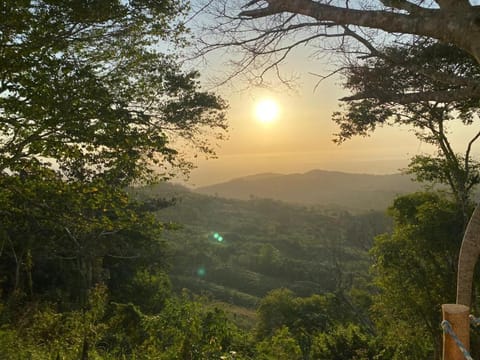 Day, Natural landscape, Sunset