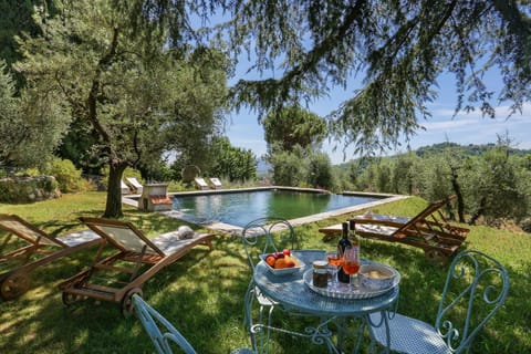 Spring, Day, Natural landscape, Garden, Garden view, Pool view, Swimming pool, Swimming pool, sunbed
