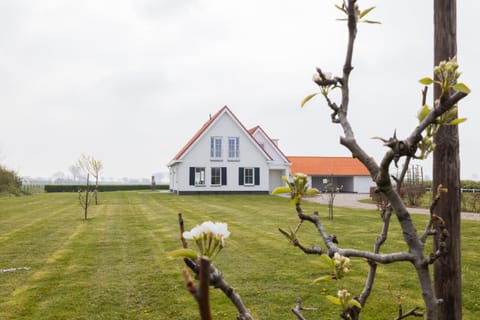 Property building, Spring, Day, Garden, Garden view